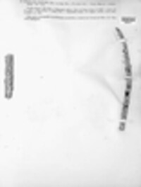 Lecanographa elegans image